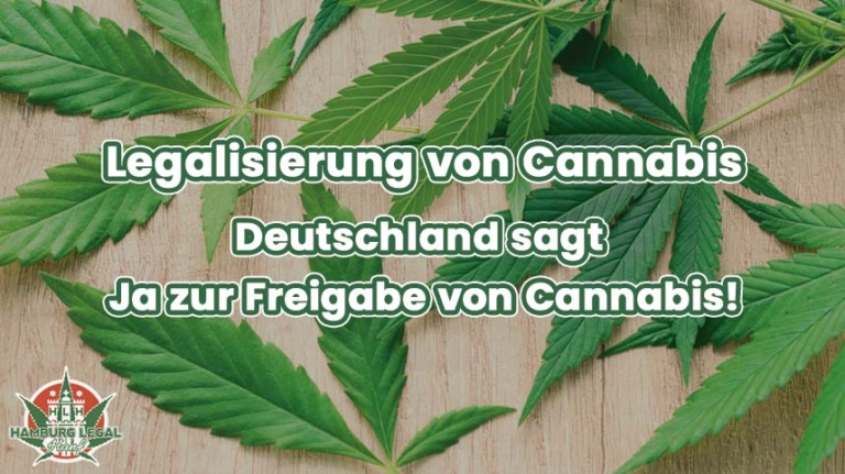 Cannabis Legalisierung in Deutschland - das Wichtigste in Kürze
