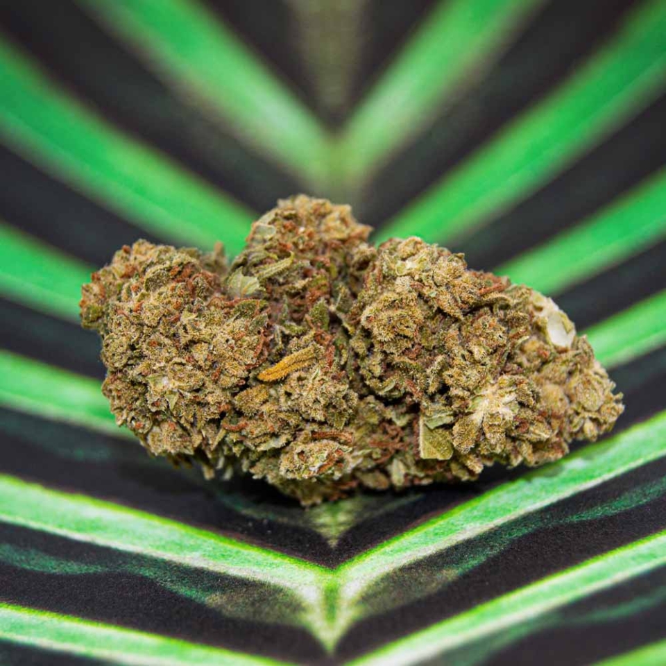 CBD Shop HamburgLegalHanf Feinste CBD Produkte kaufen