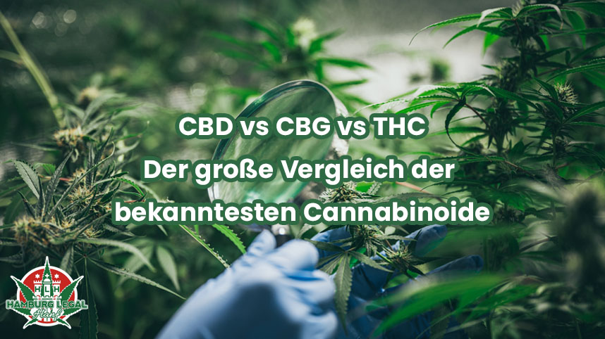 CBD vs CBG vs THC - der große Vergleich